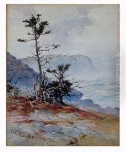 Gull Rock,monhegan by Samuel Peter Rolt Triscott