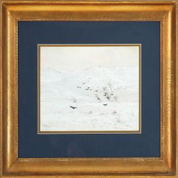 Winter - view 1
