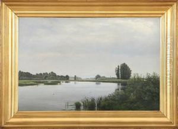 Landscape - view 1