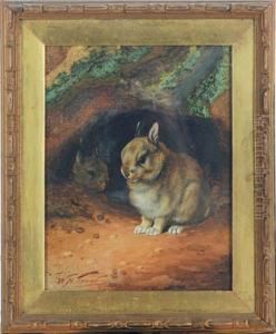 Bunnies By Their Hole