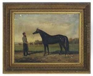 A Horse And Its Trainer
