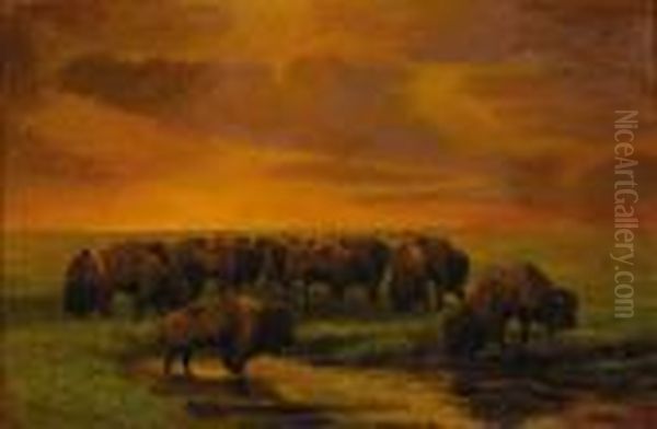 The Wallow - view 1