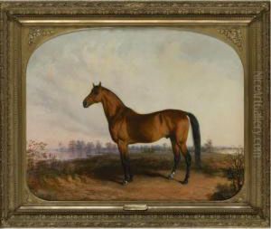 Major Winfield