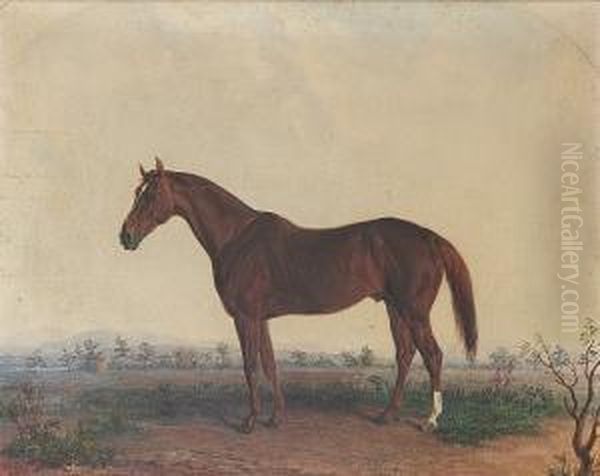Portrait Of A Horse In A Southern Landscape - view 1
