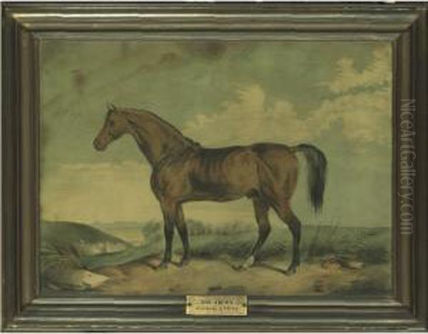 Sir Archy - view 1