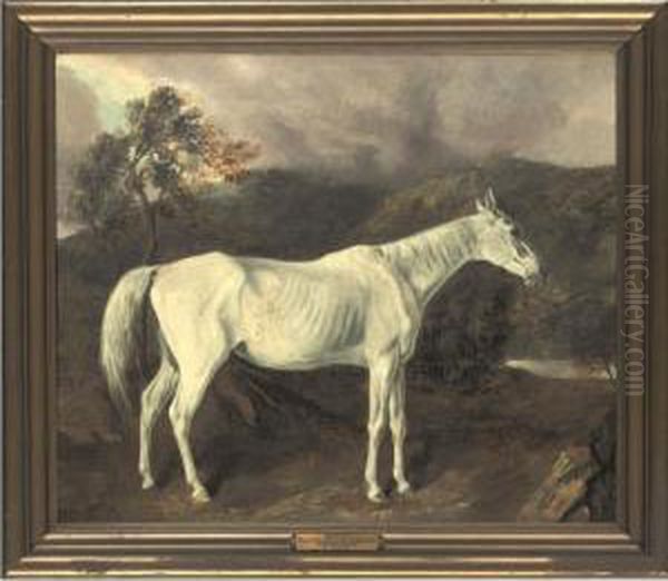 Reality By Sir Archy Out Of A Mare By Old Medley by Edward Troye