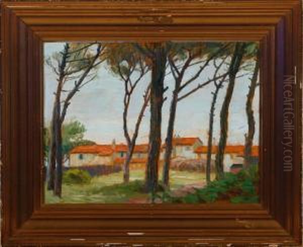 Marine Ved Pisa - view 1