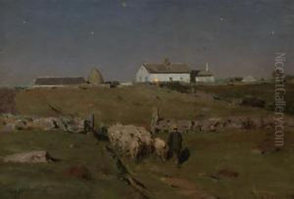 A Moonlight Night - view 1