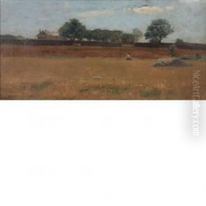 Field
