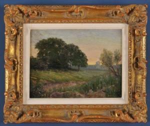 Summer Landscape