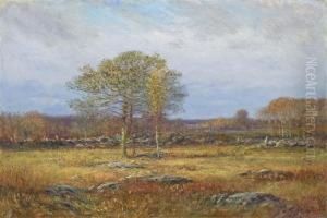 Autumn Fields by Dwight William Tryon