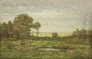 Summer Landscape