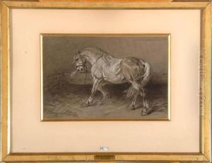 Cheval Nerveux A L'ecurie Cheval Nerveux A L'ecurie