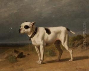 Portrait De Chien Sur La Plage by Edmond Jean Baptiste Tschaggeny
