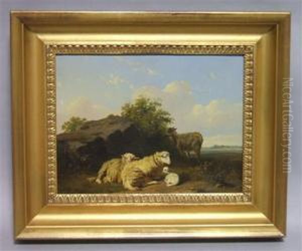 Lamb And Goat Resting - view 1