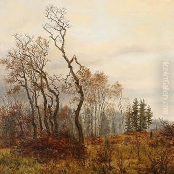 Quiet Day In A Autumn Forest Glade - view 1