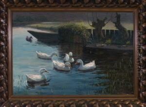 Sechs Enten Im Teich Voreinem Steg Mit Einem Kleinen Kahn