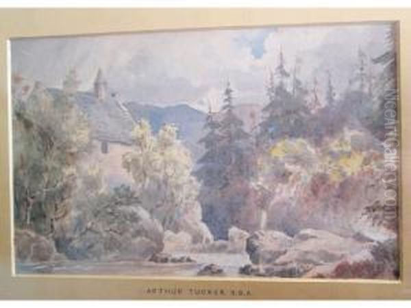 Summer Landscape With Rocky Stream And Building Amongst Pine Trees - view 1