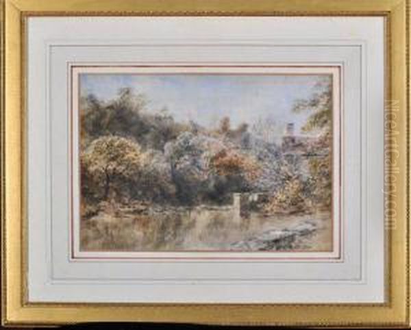 A Country Cottage Garden With A Pond - view 1
