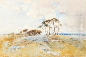 Landscape With Trees