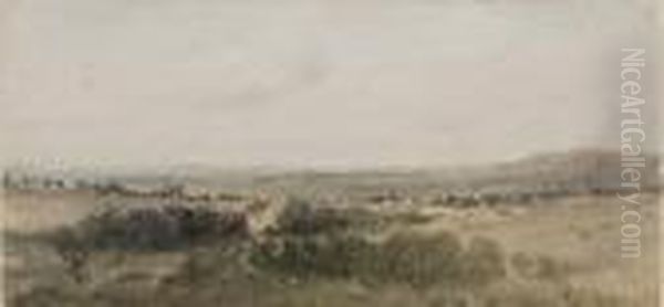 Landscape - view 1