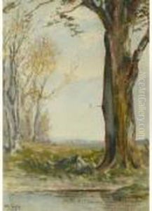 Paysage A L'arbre