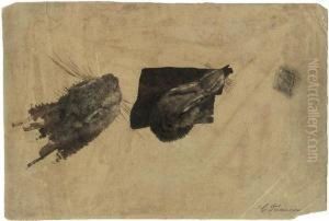 Studienblatt Mit Feldhase by Christian Tunica