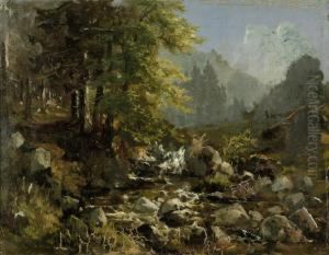Harzlandschaft Mit Wildbach