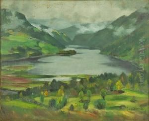 Landskap I Regnvaer Morkdalen