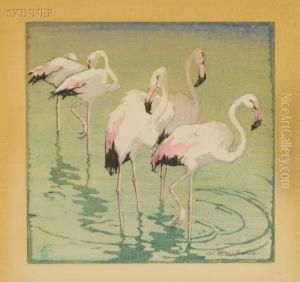 Flamingoes.