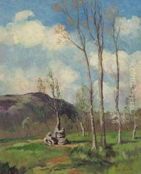 California Landscape - view 1