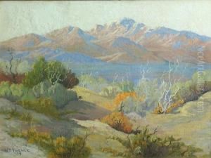 Desert Landscape
