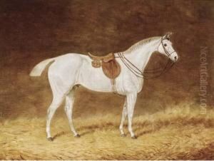 A Saddled Grey Hunter In A Stable; And A Saddled Bay Hunter In Astable