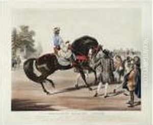 Godolphin Arabian, Scham by Francis Calcraft Turner