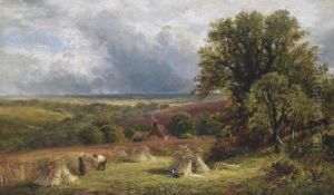 A Surrey Cornfield