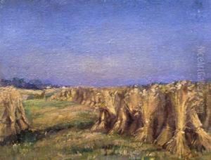 Corn In A Field