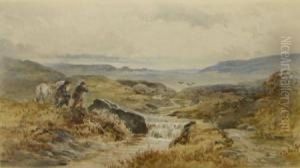 Shooting On The Moors