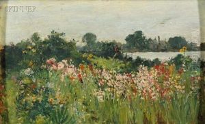 Sea Of Flowers Sea Of Flowers