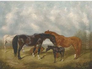 Mares And Foals by C. Turner
