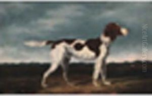 Setter In A Landscape by C. Turner