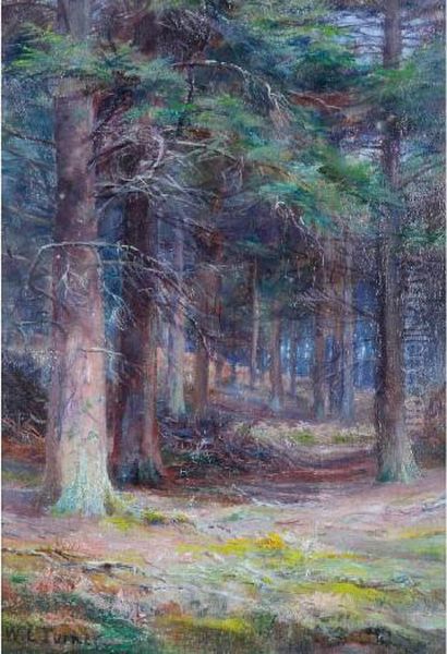 A Woodland Scene - view 1