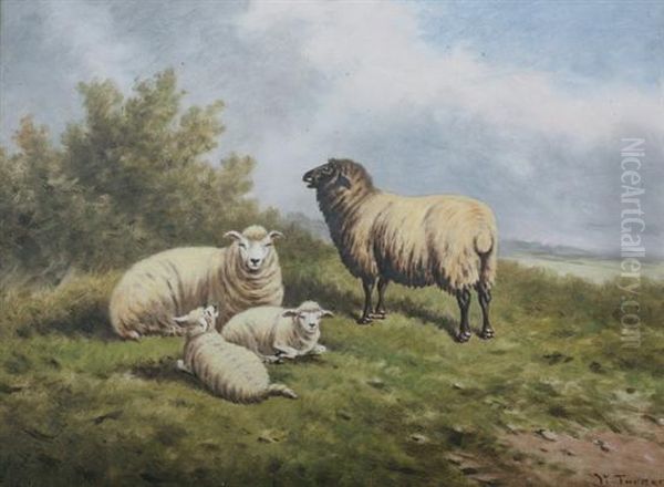 Sheep And Lambs Reposing - view 1