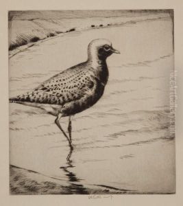 Black-bellied Plover by Henry Emerson Tuttle