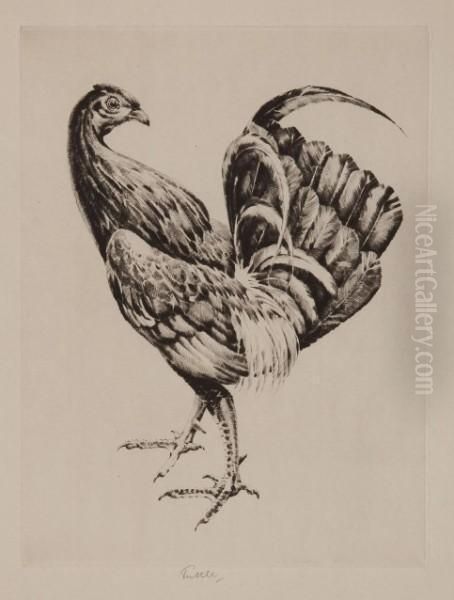"game Cock, - view 1