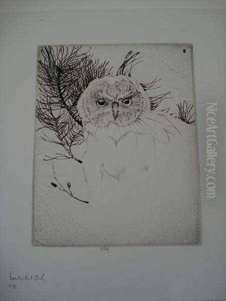 Nantucket Owl - view 1