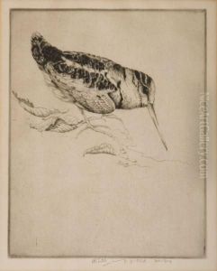 Woodcock by Henry Emerson Tuttle