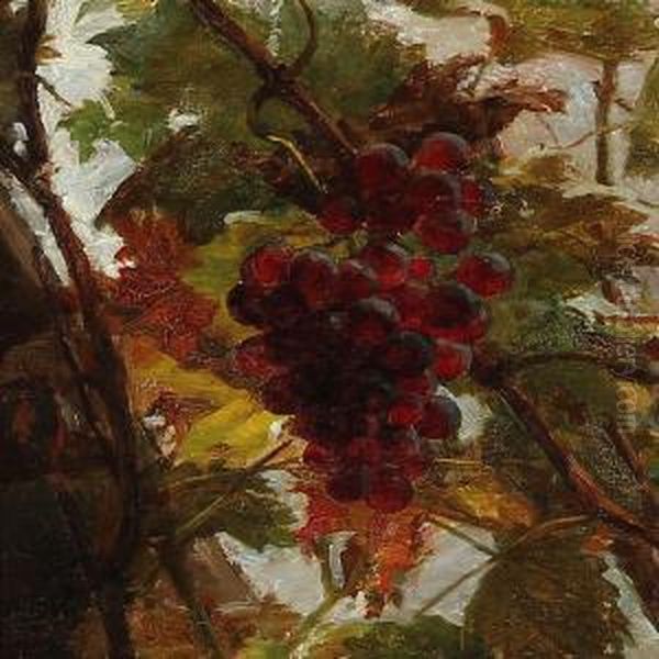 Bunch Of Grapes - view 1