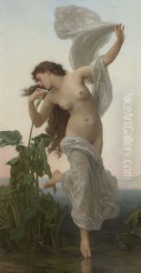 L'aurore