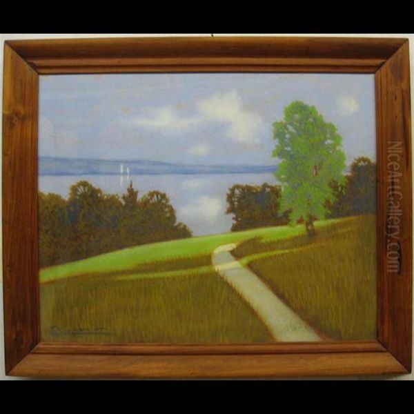 Summer Shadows - view 1