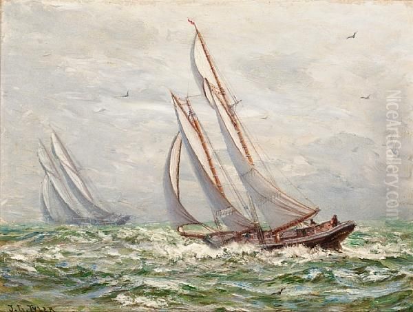 Grand Bank's Schooners Racing - view 1